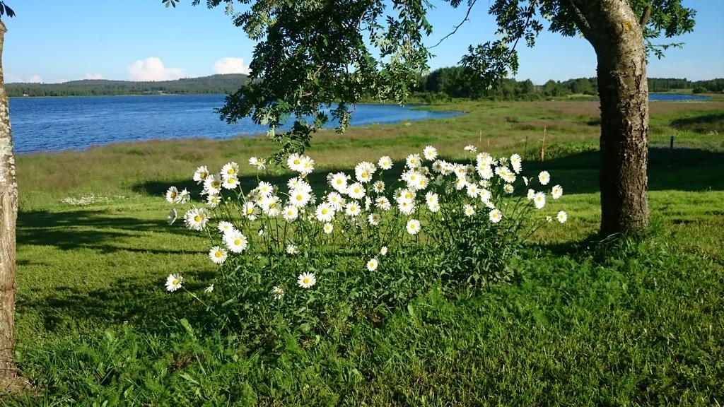 尼瓦花园度假屋 Korpikylä 外观 照片